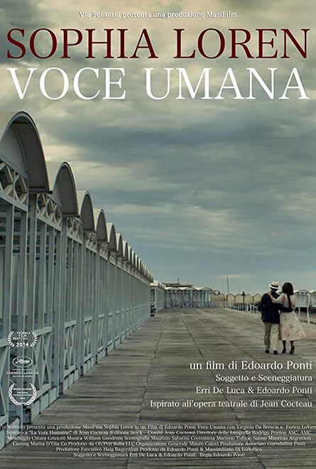 Human Voice Poster