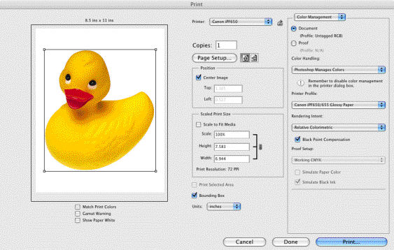 Checking Ink Levels on Mac