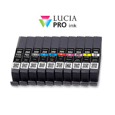 Emballage économique de dix cartouches couleur PFI-300