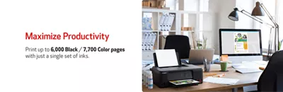 Maximize Productivity