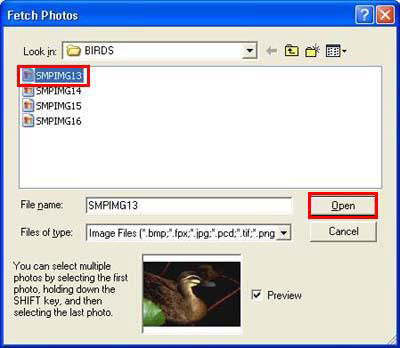 How to add a photo to an album in PhotoRecord