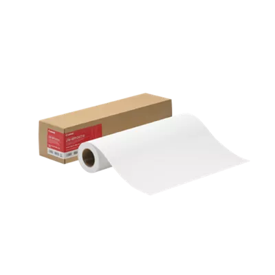 Papier photo Pro Platinum, 24 po x 100 pi