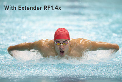 Professional Swimmer Swimming