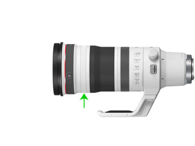 Person Holding Flowers