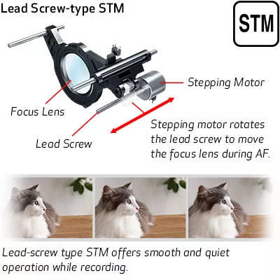 Lead Screw-type STM Sample