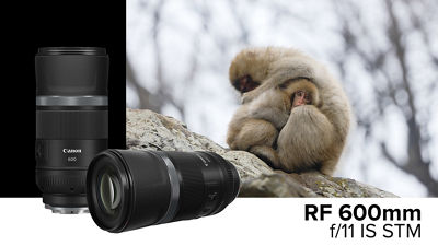 RF600mm F11 IS STM