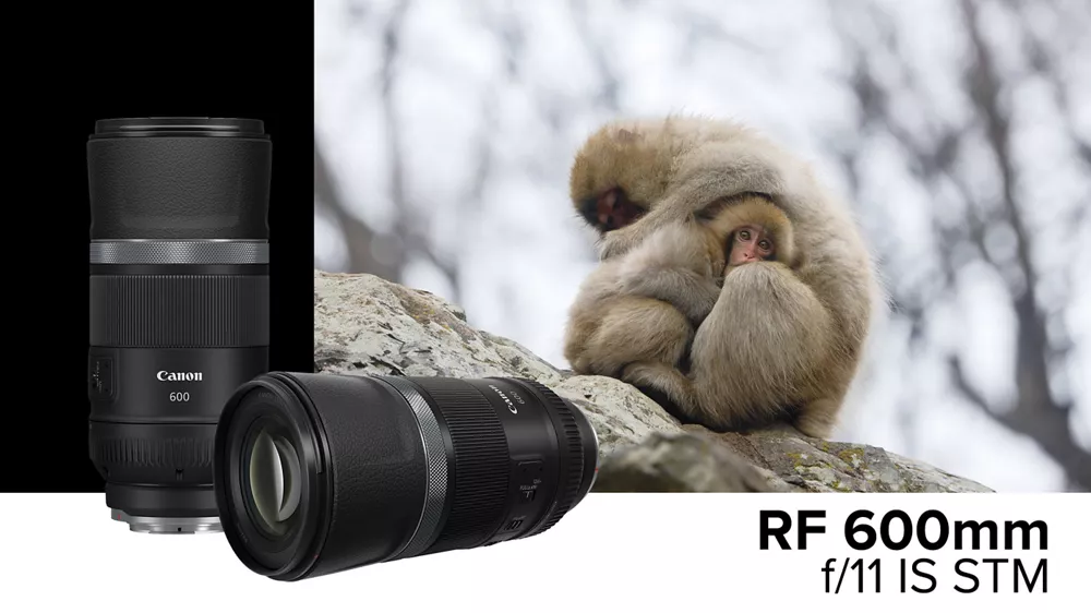 RF 600mm f/11 IS STM | Canon eStore