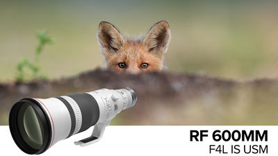 RF 600MM F4L IS USM