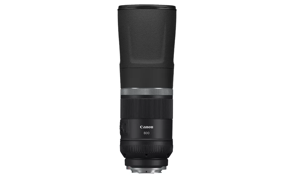 Canon RF 800mm F11 IS STM レンズ お手ごろ価格の超望遠レンズ！ キヤノン「RF800mm F11 IS STM」実写