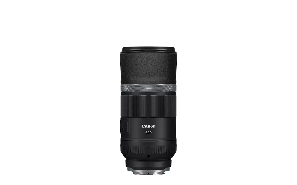RF 800mm f/11 IS STM | Telefoto