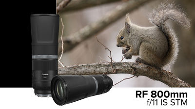 RF 800mm F11 IS STM