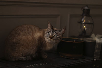 RF85mm F2 Macro IS STM