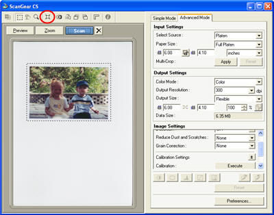 How to crop an image prior to the final scan