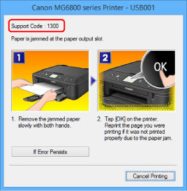 Paper Jams - PIXMA MG6820