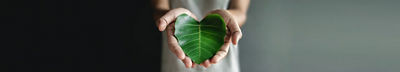 Canon's Commitment to Sustainability 