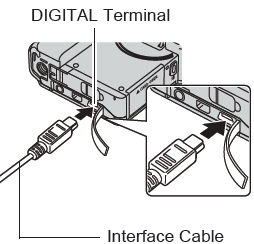 How to connect the PowerShot TX1 to a computer.