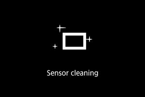 EOS R6 Mark II: Dust Delete Data Acquisition