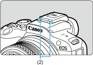 EOS R50: Movie Recording