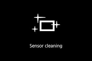 Appending Dust Delete Data to the EOS M50 Mark II.