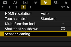 EOS R6: Sensor Cleaning