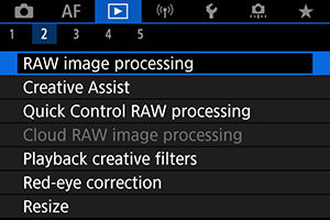EOS R10: RAW Image Processing