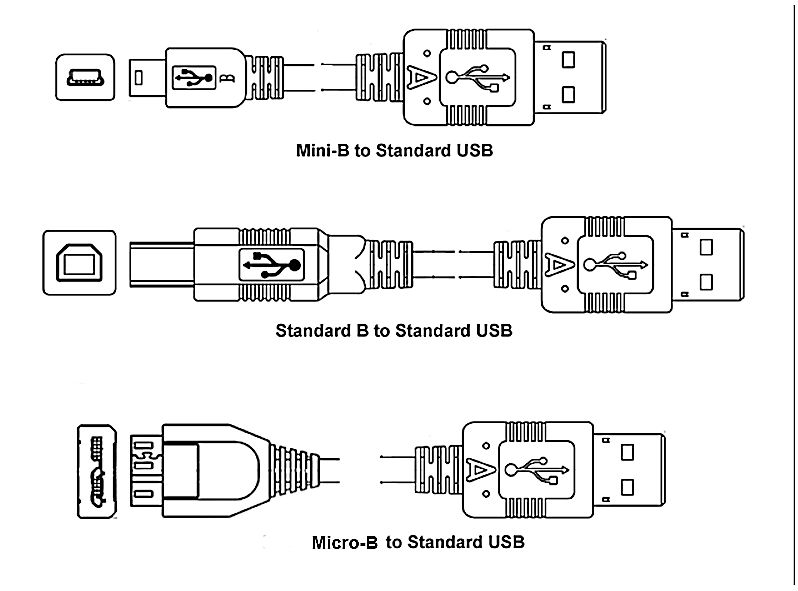 USB Connections Currently In Use for Cameras, Camcorders and Printers