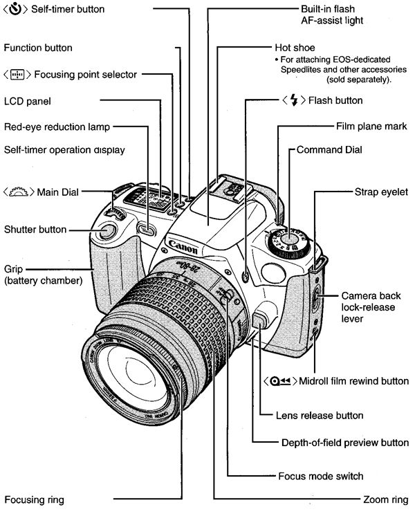 Canon camera rebel online 2000