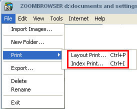 How to include comments, file names, and dates when printing with ...