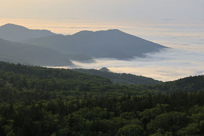 mountains with fog and trees