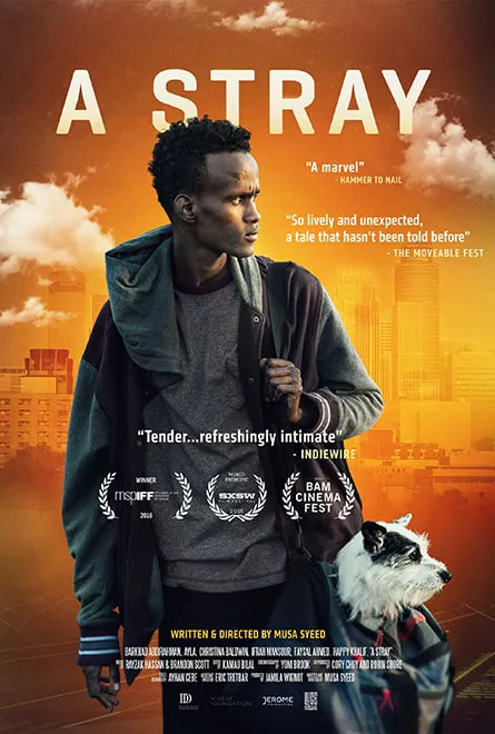 A Stray Poster