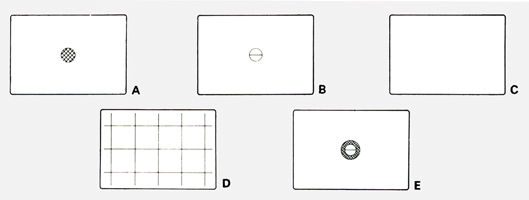 F-1N : What are the different types of focusing screens (screens A - E)?