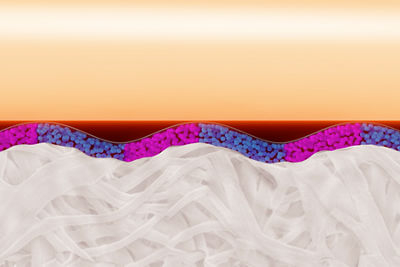 Image of the Advanced Drying & Curing