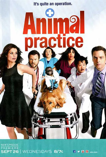 Animal Practice Poster