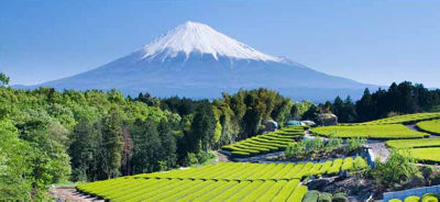 Japan Center Essay Competition