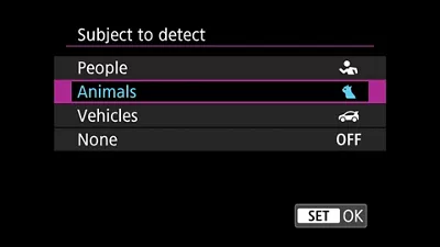 Subject to Detect Menu