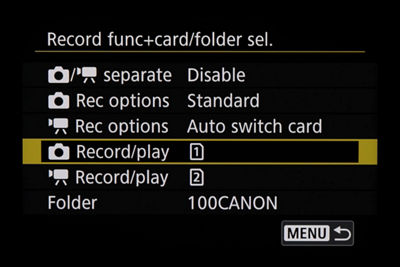 Record Function - Record/Play Option