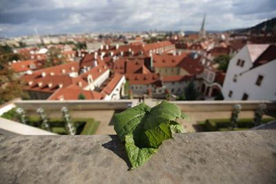 Picture of European City