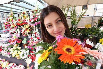 Person Holding an Orange Flower