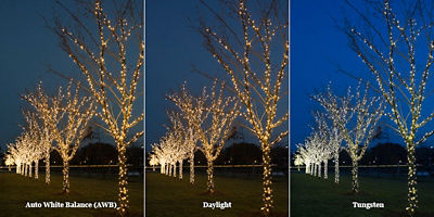 3 side by side white balance examples of the same row of holiday light lit trees