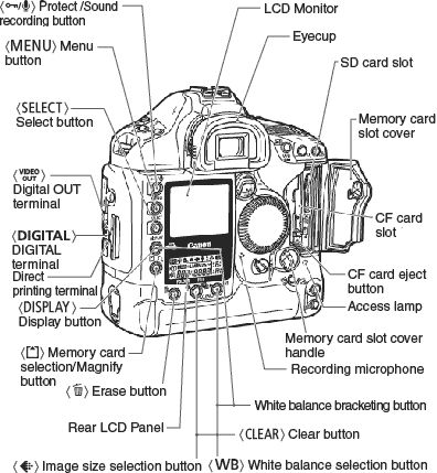 Nomenclature of the EOS 1D Mark II, EOS 1D Mark II N and EOS 1Ds