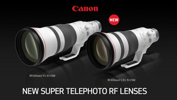 RF400mm F2.8 L IS USM avec RF600mm F4 L IS USM