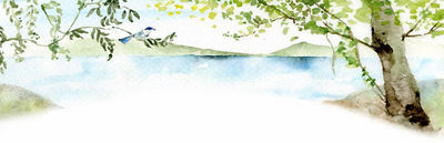 Drawing of a tree and lake