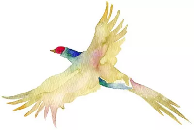 Drawing of Yellow and Green Bird