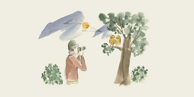 Drawing of Photographer Taking a Picture of Birds