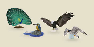 Oragami of Multiple Birds