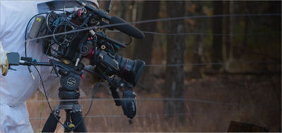 Camerman filming pollination with canon professional equipment