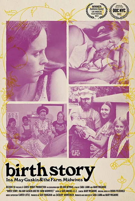 Birth Story Poster