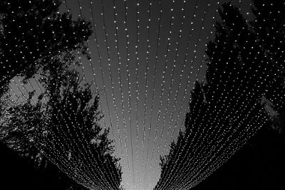 Black and white photo of lines of small string lights suspended overhead with trees towering over them
