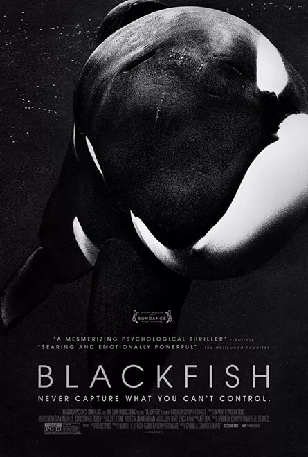 Blackfish Poster