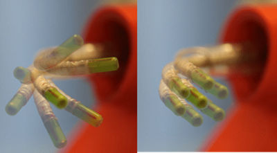 Tip Angulation of Imaging Tube